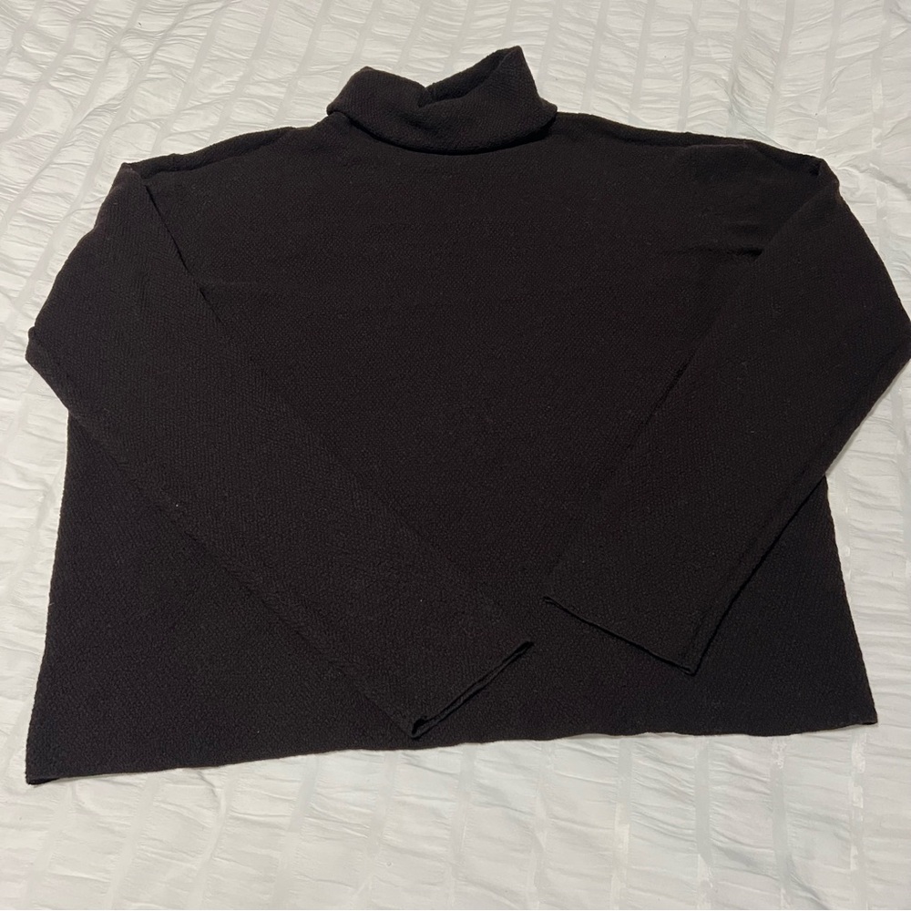Eileen Fisher Sweater Size Large 100% Italian Yarn Wool Brown Turtleneck Raglan